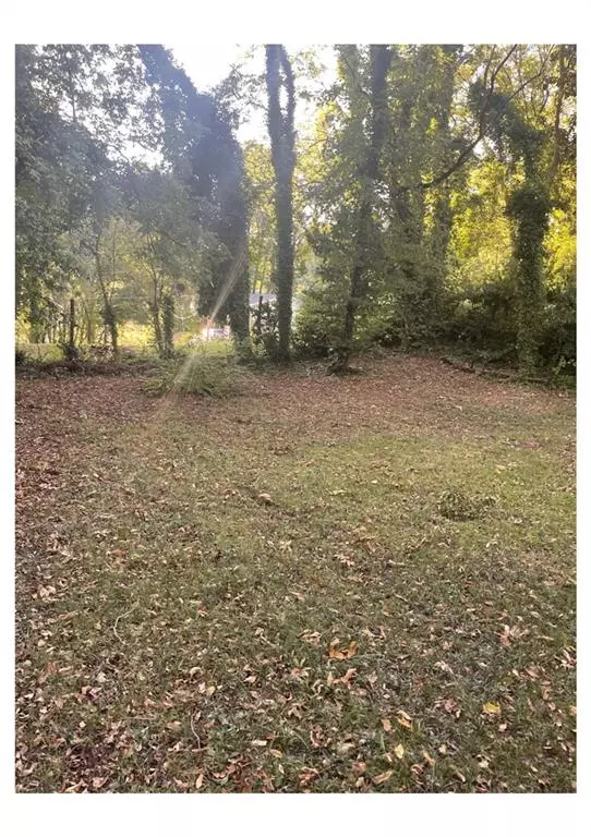 Atlanta, GA 30314,390 Andrew J Hairston PL NW