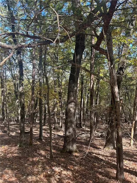 Waleska, GA 30183,162 Fort Wayne DR