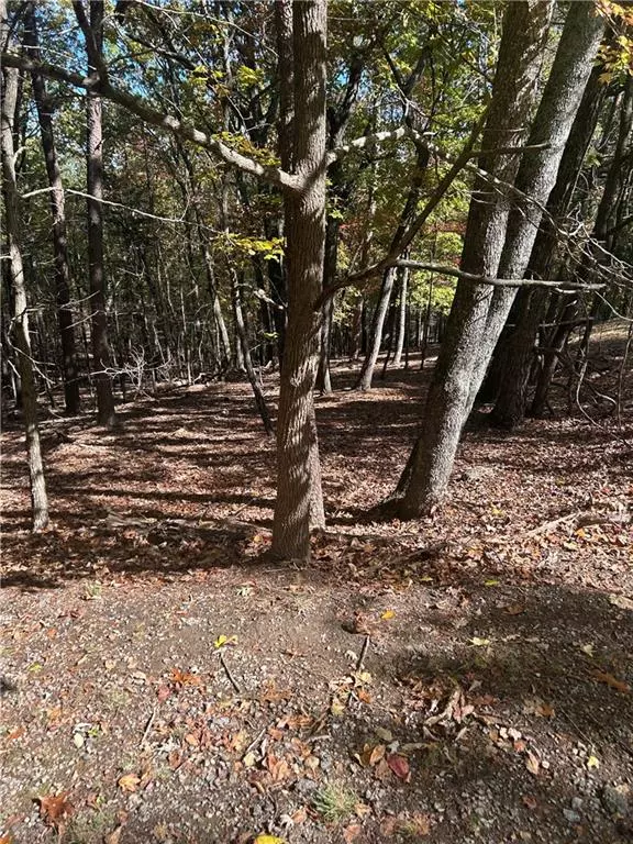 Waleska, GA 30183,162 Fort Wayne DR