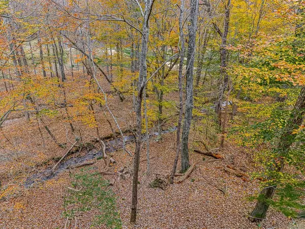 Jasper, GA 30143,617 Crippled Oak TRL