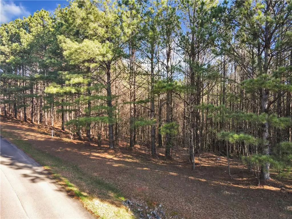 Ellijay, GA 30536,0 Foxpaw Leaf LN