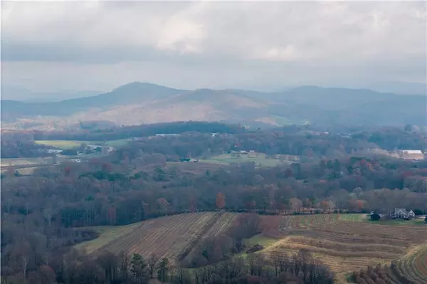 Ellijay, GA 30536,0 Foxpaw Leaf LN