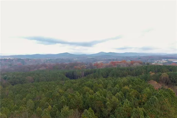 Ellijay, GA 30536,0 Foxpaw Leaf LN