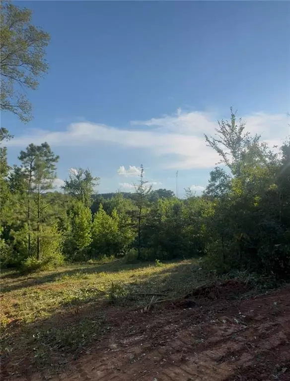 Cedartown, GA 30125,0 Old Potash RD