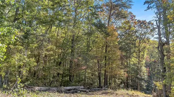 Jasper, GA 30143,0 Highway 136 W