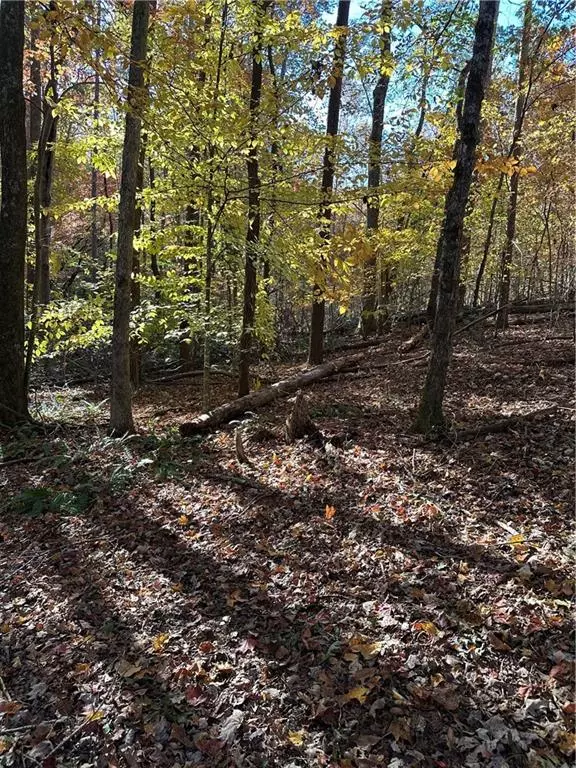 Baldwin, GA 30511,39 Planters Creek DR