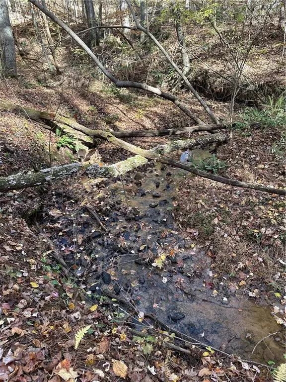 Baldwin, GA 30511,39 Planters Creek DR