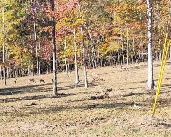 Cave Spring, GA 30124,0 Melson RD