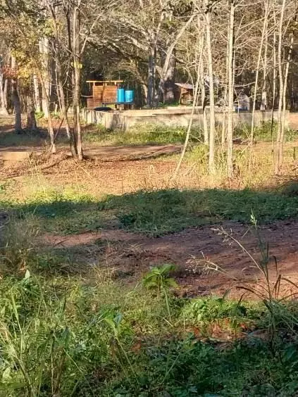 Cedartown, GA 30125,1789 Johnson Lake RD