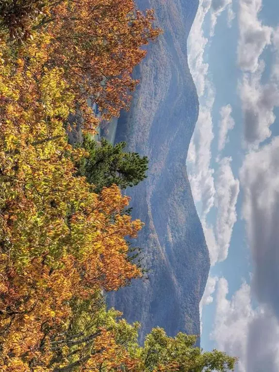 Blairsville, GA 30512,823 Arrant RD