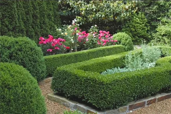 Atlanta, GA 30305,87 Sheridan DR NE