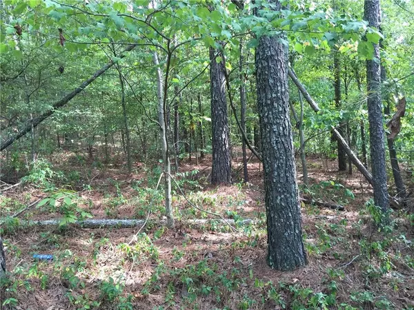 Cartersville, GA 30121,100 Valley View DR NW