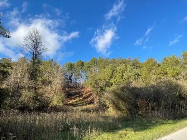 Talking Rock, GA 30175,0 Whitestone RD