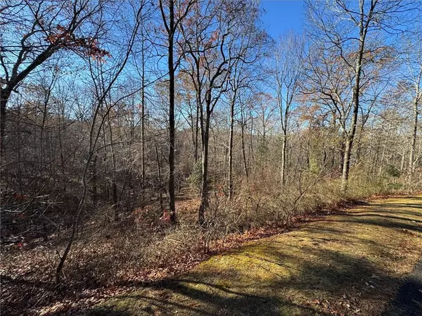 Ellijay, GA 30540,131 Harris Creek DR