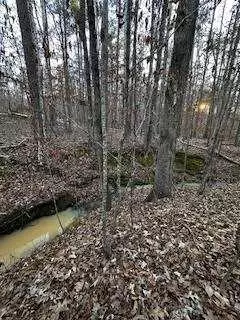 Sparta, GA 31087,00 River Ridge TRL