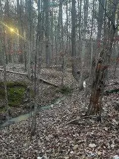 Sparta, GA 31087,00 River Ridge TRL