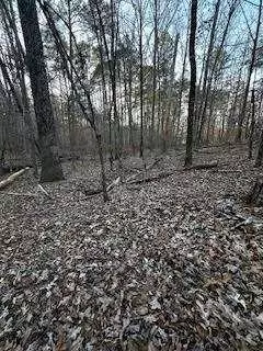 Sparta, GA 31087,00 River Ridge TRL