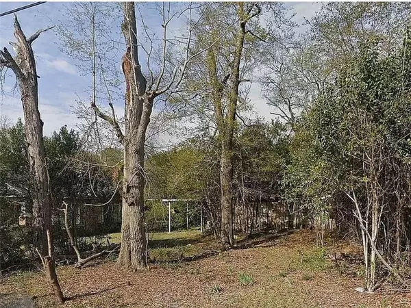 Macon, GA 31204,1055 LAMONT ST