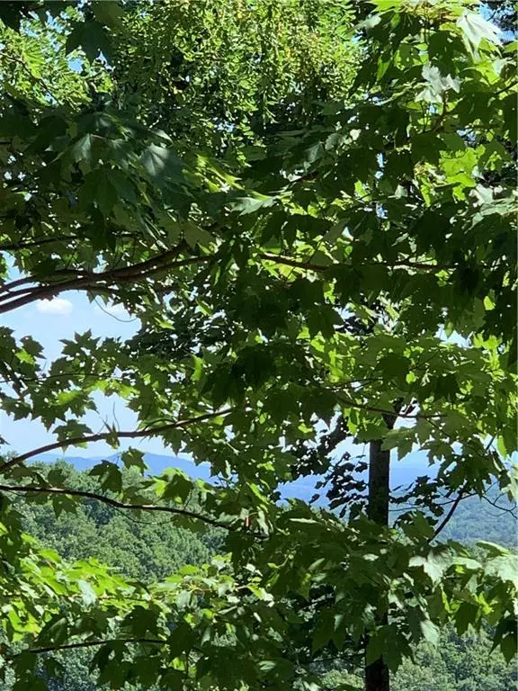 Ellijay, GA 30540,2046 Amy Creek CIR