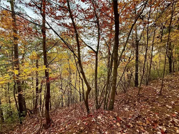 Ranger, GA 30734,526 Fedorak CT