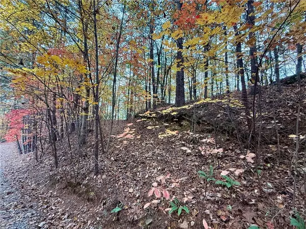 Ranger, GA 30734,526 Fedorak CT