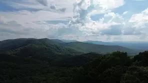 Morganton, GA 30560,93 BEAR TRACK TRL