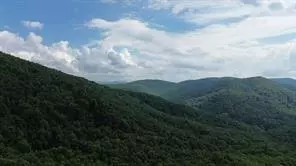 Morganton, GA 30560,93 BEAR TRACK TRL