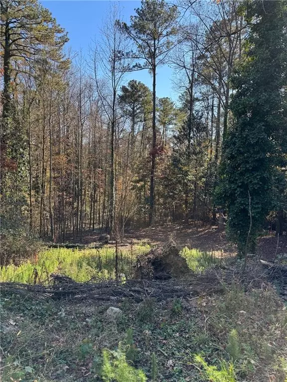 Atlanta, GA 30311,1162 N Shore SW