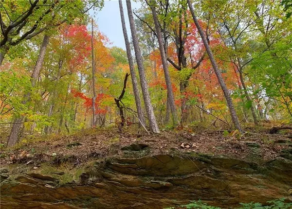 Ranger, GA 30734,374 Nomad CT