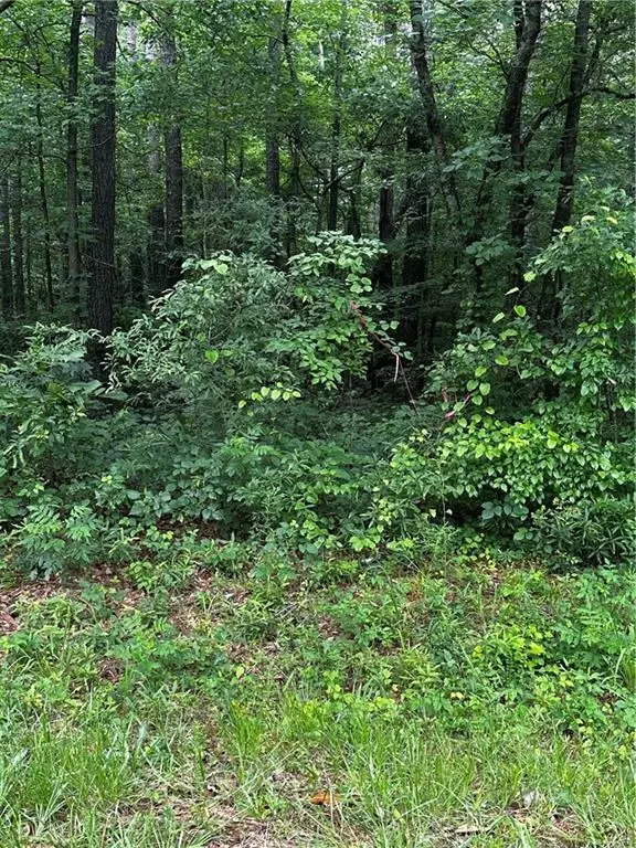 Bowdon, GA 30108,0 Ayers Rd