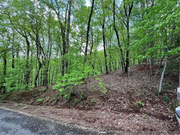 Jasper, GA 30143,0 Valley View DR