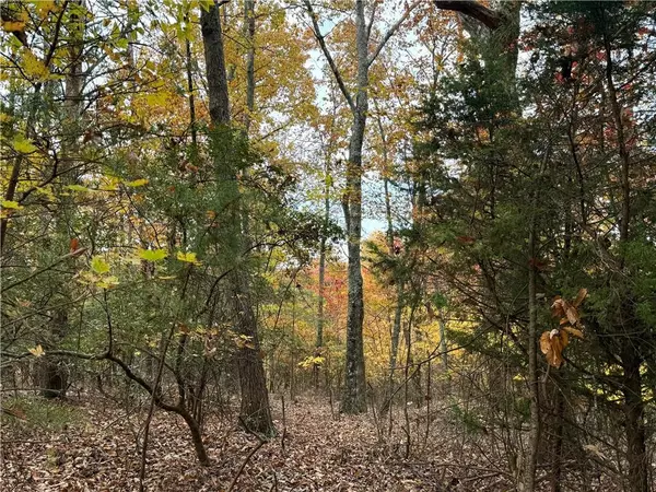 Ranger, GA 30734,1344 Hunter DR