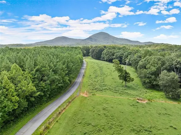 Cleveland, GA 30528,LOT 1 Arthur Allen RD