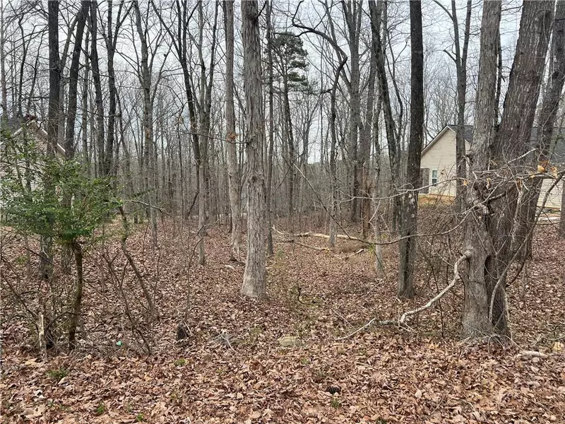 3254 Greenhill CT, Villa Rica, GA 30180