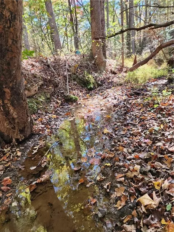 0 Grace DR, Blue Ridge, GA 30513