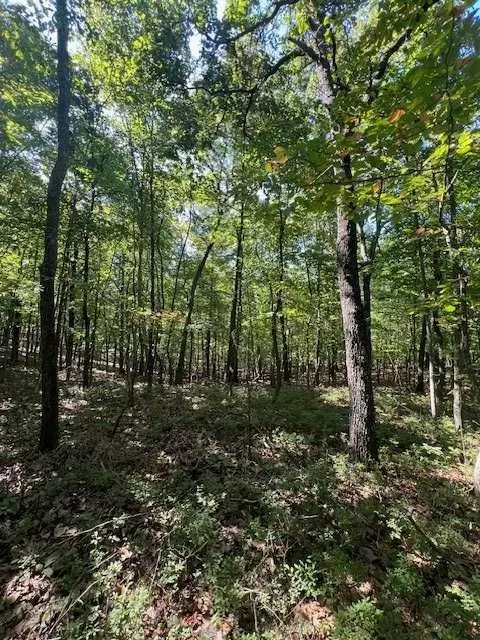 Rockmart, GA 30153,00 Vinson Mountain RD