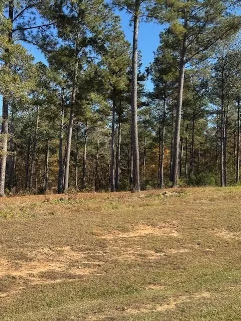 Eatonton, GA 31024,111 Stormy DR