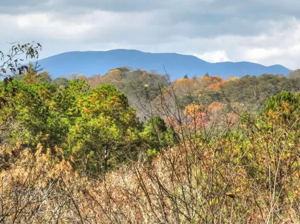 Mineral Bluff, GA 30559,100 Arrow WAY