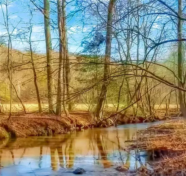 Ellijay, GA 30536,14551 E Hwy 52 E