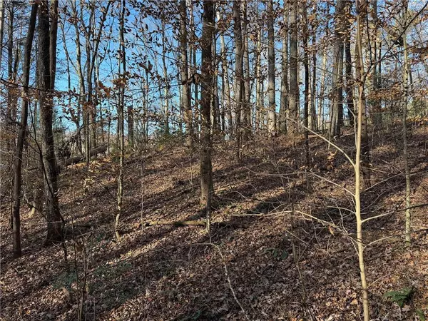 Ellijay, GA 30540,00 Whitepath RD