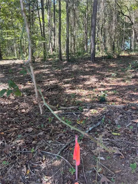 Lavonia, GA 30553,0 Fairview Farms CIR