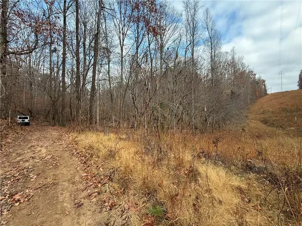 Dahlonega, GA 30533,0 Falling Pines RD