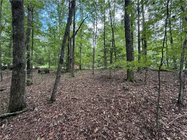 Dahlonega, GA 30533,0 Winters Mountain RD