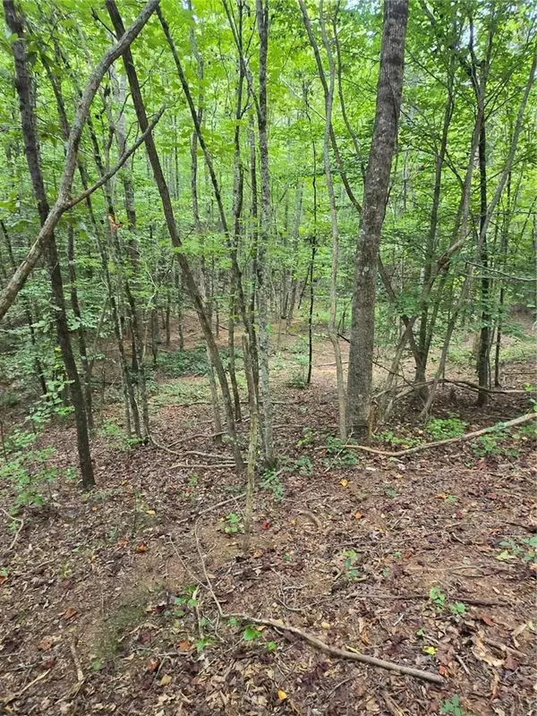 Talking Rock, GA 30175,0 Crayfish PL