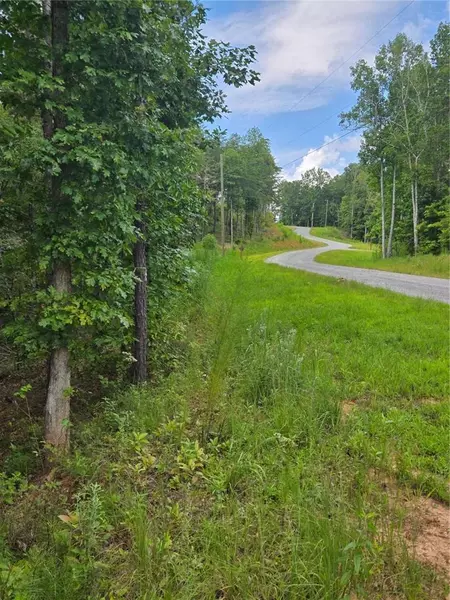 0 Crayfish PL, Talking Rock, GA 30175