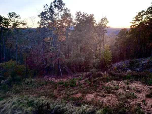 Talking Rock, GA 30175,0 Canoe WAY