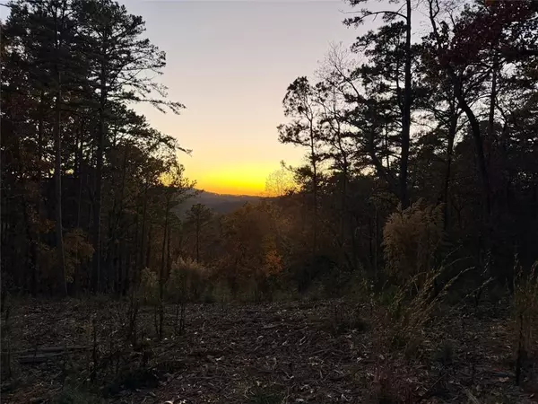 Talking Rock, GA 30175,0 CANOE WAY