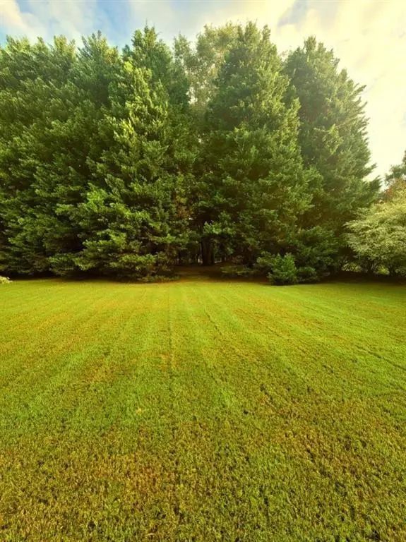 Loganville, GA 30052,3313 Beech Hollow CT