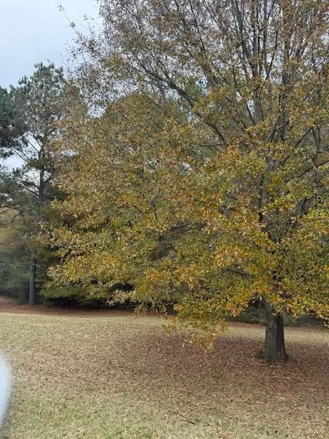 Cedartown, GA 30125,362 Oakwood DR