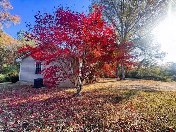 Cedartown, GA 30125,148 Persons RD